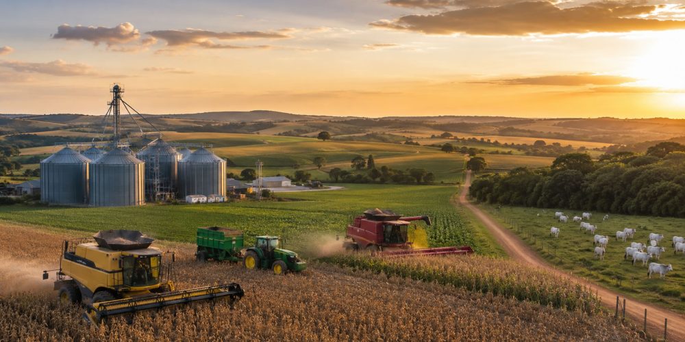 A força do agronegócio em Júlio de Castilhos impulsiona economia e identidade regional